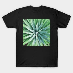 Plant print, Cactus print, Succulent, Scandinavian print, Trendy print, Styled, Pillow, Modern art, Wall art, Print, Minimalistic, Modern T-Shirt